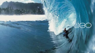 أكادير تختتم بطولة العالم للبوديبورد 2026.. تألق مغربي ولقب مستحق لتريستان روبيرتس