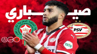 صيباري جاهز لدعم هجوم أيندهوفن أمام هيرينفين