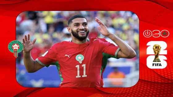 صيباري..نضج شجرة الصبار و”هاكر” الأهداف السيبرانية
